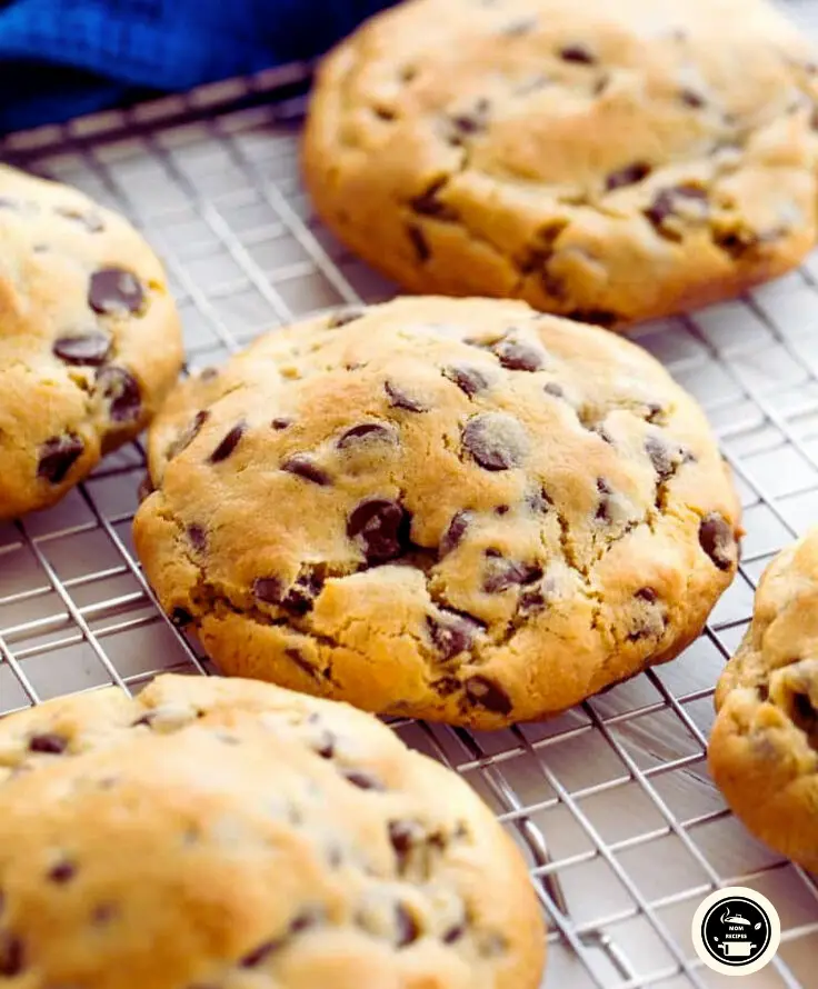 Chocolate Chip Cookie Recipe Baking Illustrated